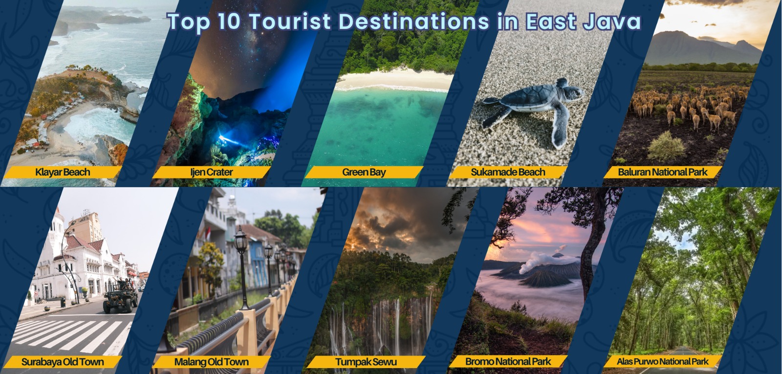 WhatsApp Image 2025-07-08 at 09.12.11 (1)